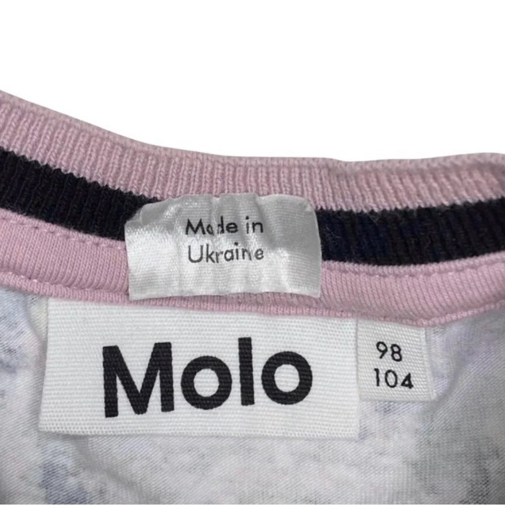 Molo save bees